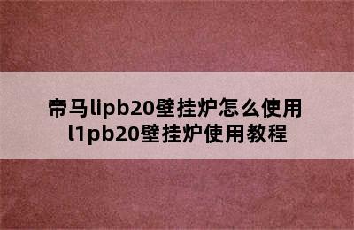 帝马lipb20壁挂炉怎么使用 l1pb20壁挂炉使用教程